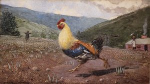 オンドリ、1876 作： Winslow Homer